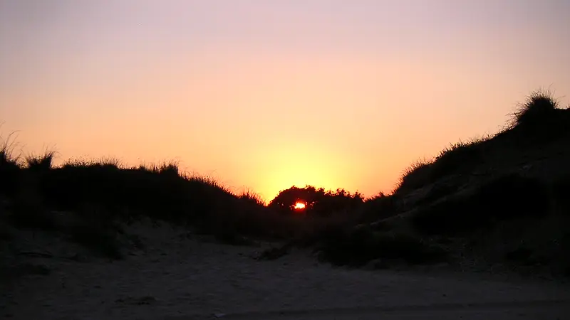 Puesta de sol entre las dunas de la playa de El Saler, en Valencia