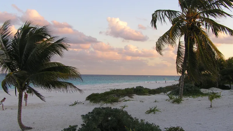 Playa de arena blanca de Tulum con palmeras y nubes rosadas sobre el mar Caribe a la hora de la puesta de sol
