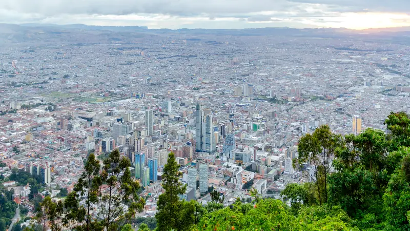 Bogotá vista desde Monserrate al caer la tarde, con los edificios del centro, la ciudad extendida hasta la sabana y árboles en primer plano