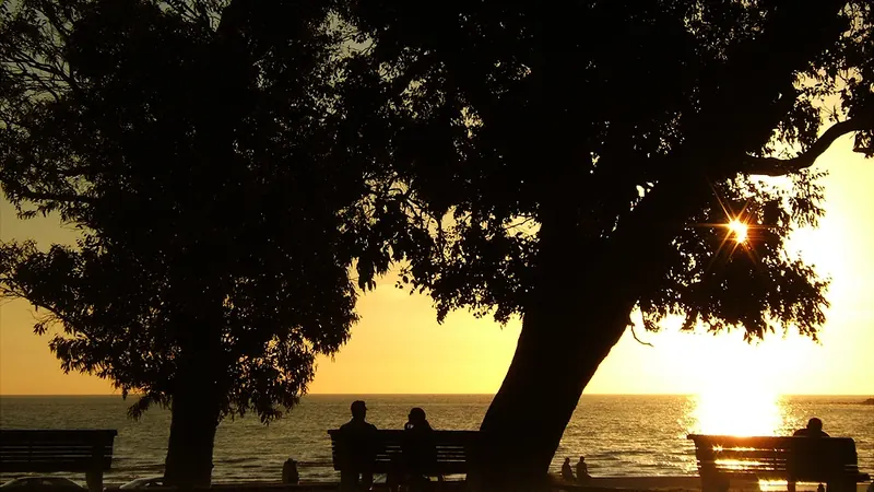 Siluetas de personas sentadas en bancos de la rambla de Montevideo, bajo los árboles, mirando el sol ponerse sobre el Río de la Plata