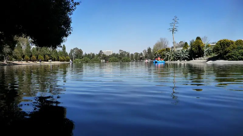 Agua quieta del Lago Mayor de la Segunda Sección del Bosque de Chapultepec, con árboles en la orilla y una lancha a lo lejos